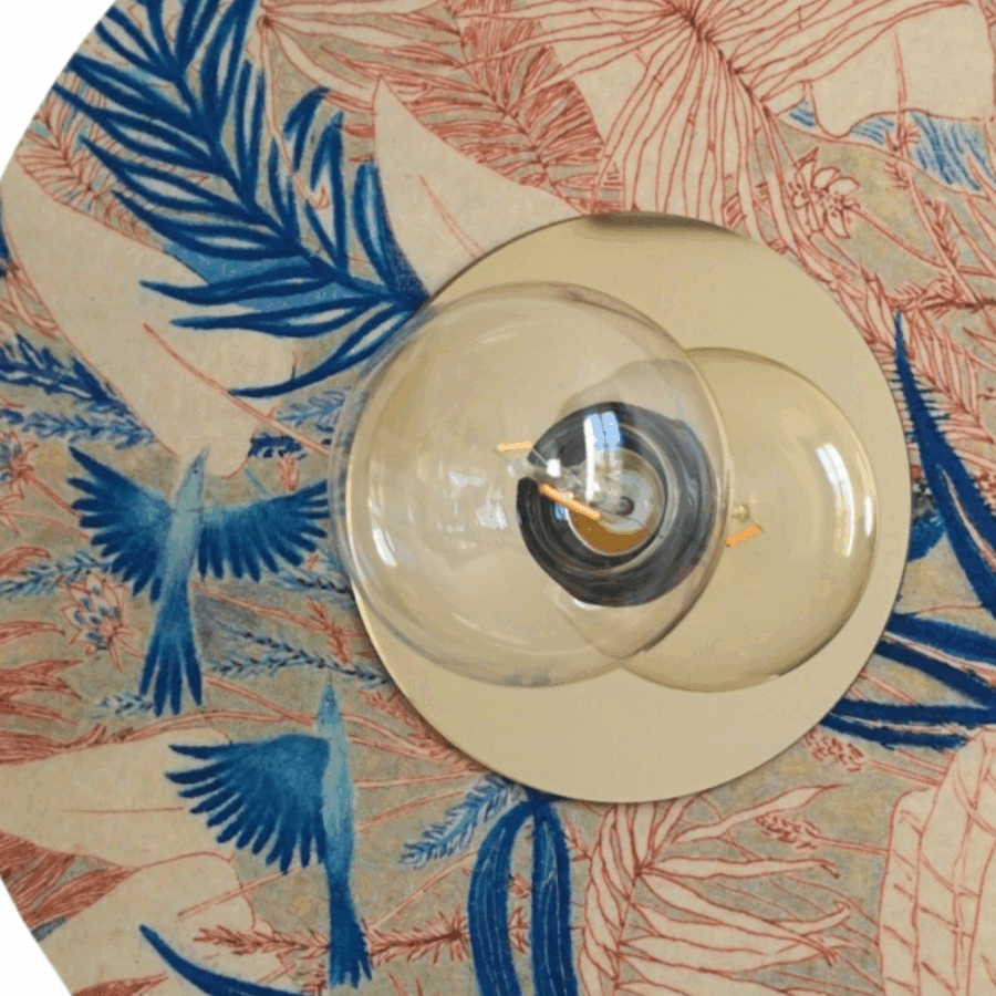 applique maia bunge zoom